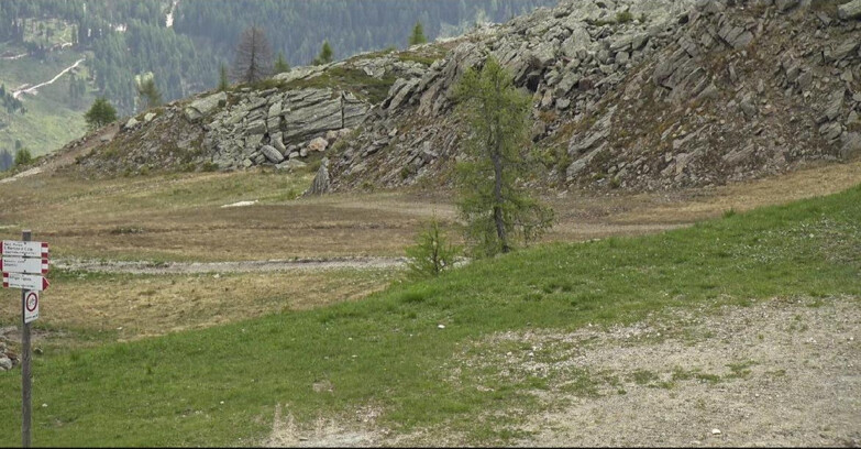 Webcam Сан-Мартино-ди-Кастроцца - Пассо-Ролле - Pista Tognola UNO