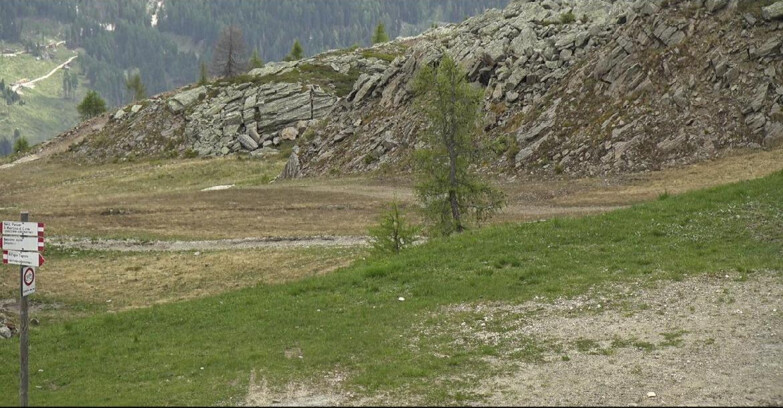 Webcam Сан-Мартино-ди-Кастроцца - Пассо-Ролле - Pista Tognola UNO