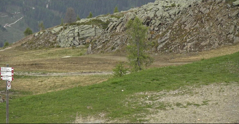 Webcam Сан-Мартино-ди-Кастроцца - Пассо-Ролле - Pista Tognola UNO