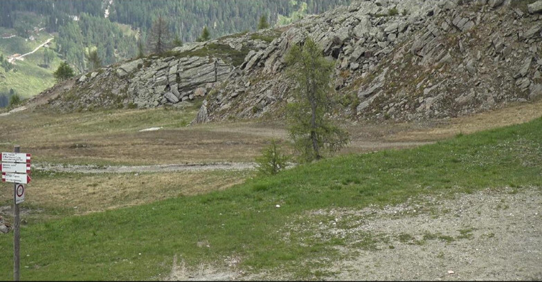 Webcam Сан-Мартино-ди-Кастроцца - Пассо-Ролле - Pista Tognola UNO