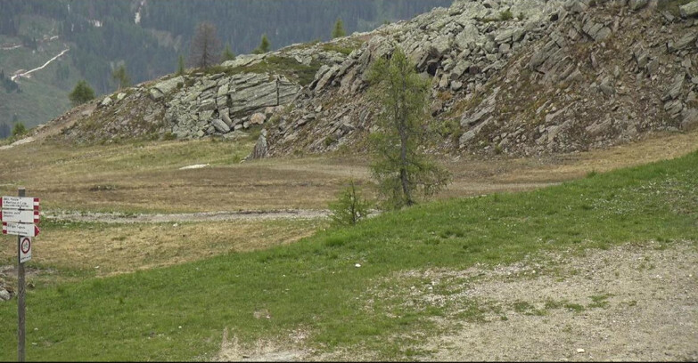 Webcam Сан-Мартино-ди-Кастроцца - Пассо-Ролле - Pista Tognola UNO