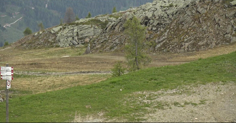Webcam Сан-Мартино-ди-Кастроцца - Пассо-Ролле - Pista Tognola UNO