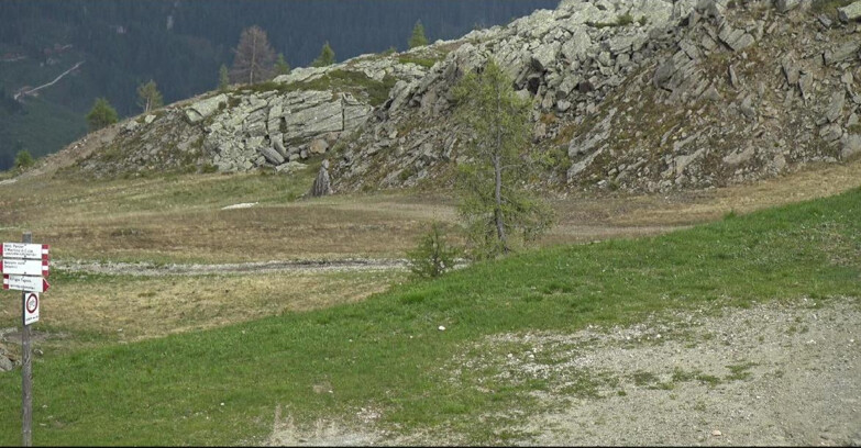Webcam Сан-Мартино-ди-Кастроцца - Пассо-Ролле - Pista Tognola UNO