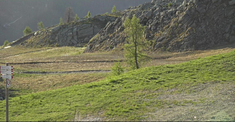 Webcam Сан-Мартино-ди-Кастроцца - Пассо-Ролле - Pista Tognola UNO