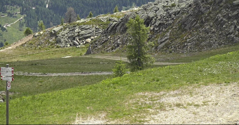 Webcam San Martino di Castrozza - Passo Rolle  - Pista Tognola UNO