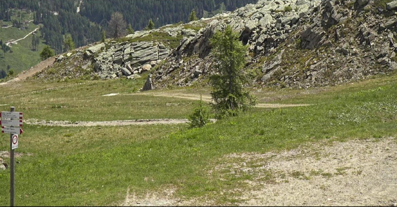 Webcam San Martino di Castrozza - Passo Rolle  - Pista Tognola UNO