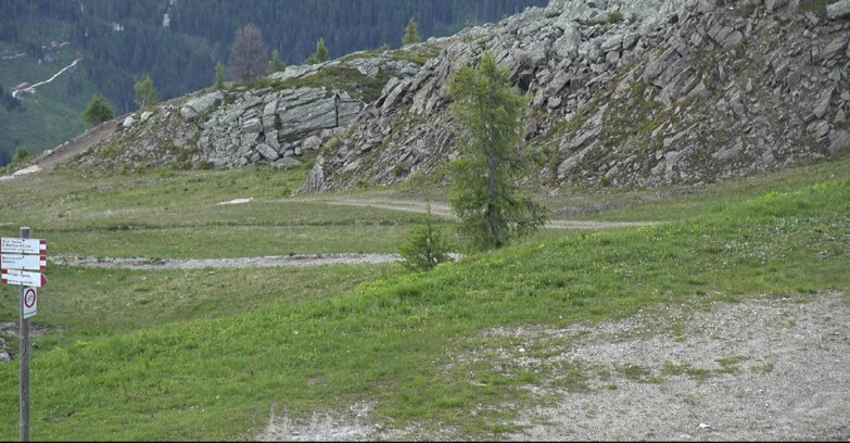 Webcam San Martino di Castrozza - Passo Rolle  - Pista Tognola UNO