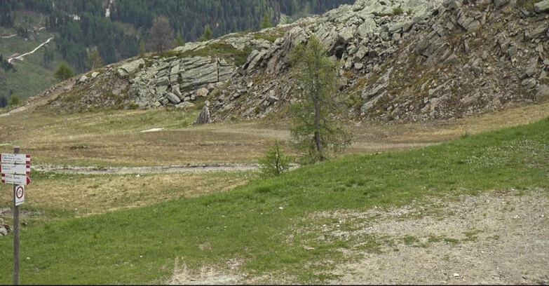 Webcam San Martino di Castrozza - Passo Rolle - Pista Tognola UNO