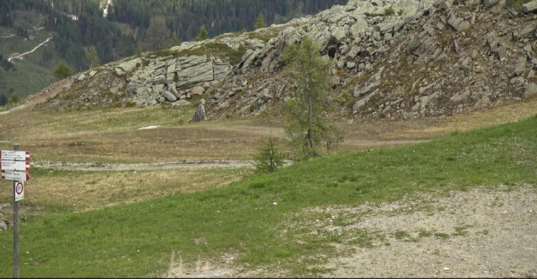 Webcam San Martino di Castrozza - Passo Rolle - Pista Tognola UNO