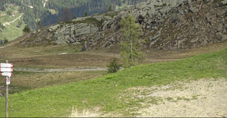 Webcam San Martino di Castrozza - Passo Rolle - Pista Tognola UNO
