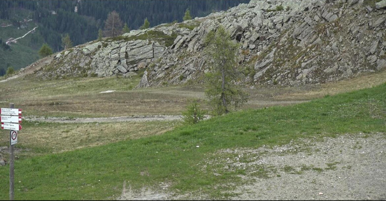 Webcam San Martino di Castrozza - Passo Rolle - Pista Tognola UNO