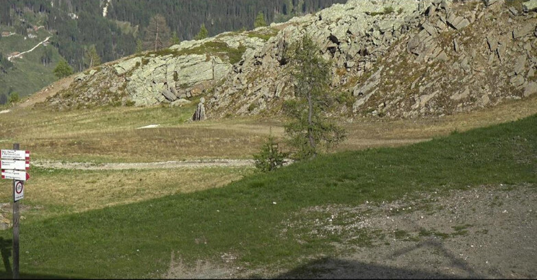 Webcam San Martino di Castrozza - Passo Rolle - Pista Tognola UNO
