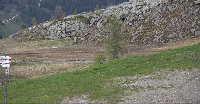 Webcam San Martino di Castrozza - Passo Rolle - Pista Tognola UNO