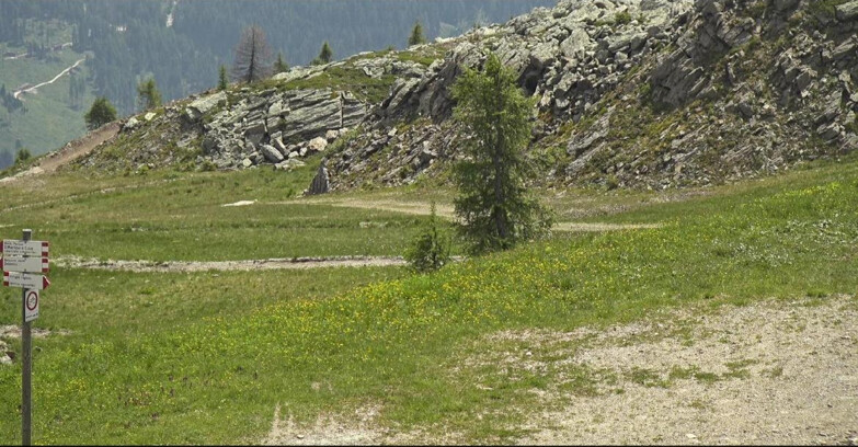 Webcam San Martino di Castrozza - Passo Rolle - Pista Tognola UNO