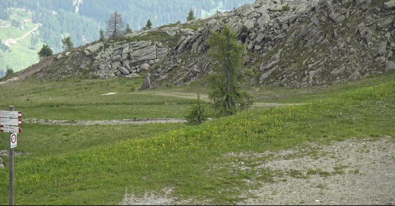 Webcam San Martino di Castrozza - Passo Rolle - Pista Tognola UNO