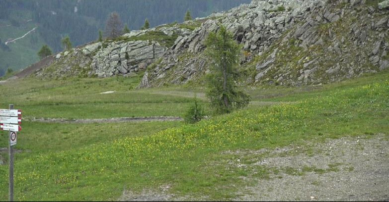 Webcam San Martino di Castrozza - Passo Rolle - Pista Tognola UNO