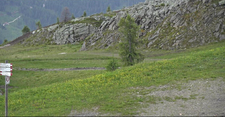 Webcam San Martino di Castrozza - Passo Rolle - Pista Tognola UNO