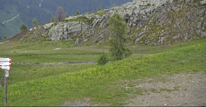 Webcam San Martino di Castrozza - Passo Rolle - Pista Tognola UNO