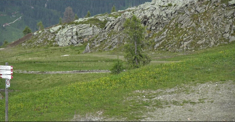 Webcam San Martino di Castrozza - Passo Rolle - Pista Tognola UNO
