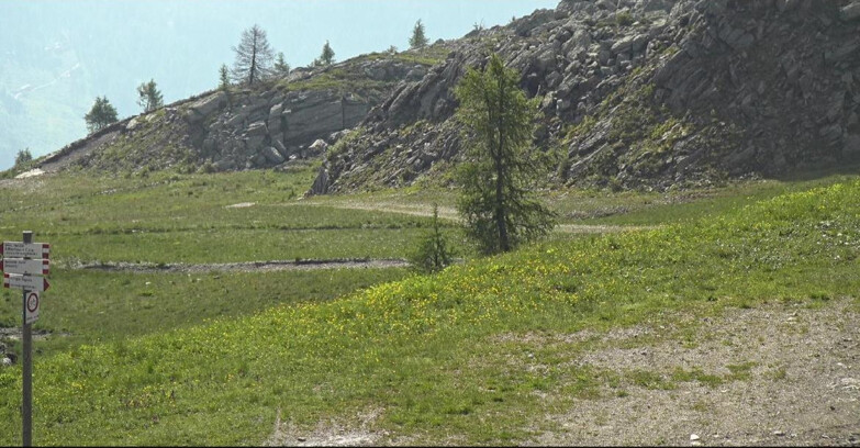 Webcam San Martino di Castrozza - Passo Rolle - Pista Tognola UNO
