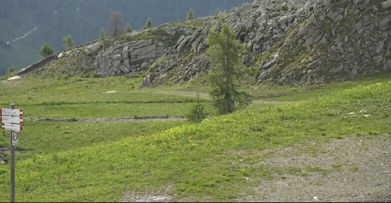 Webcam San Martino di Castrozza - Passo Rolle - Pista Tognola UNO