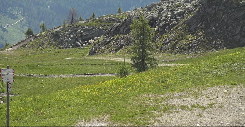 Webcam San Martino di Castrozza - Passo Rolle - Pista Tognola UNO