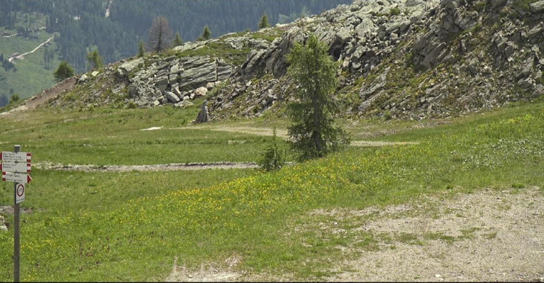 Webcam San Martino di Castrozza - Passo Rolle - Pista Tognola UNO