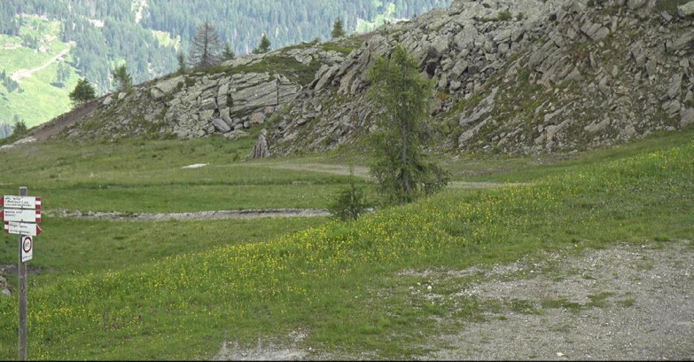 Webcam San Martino di Castrozza - Passo Rolle - Pista Tognola UNO