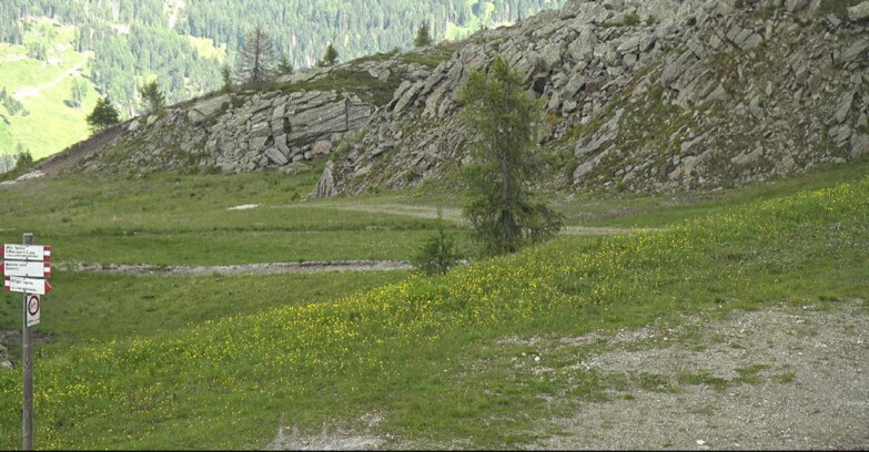 Webcam San Martino di Castrozza - Passo Rolle - Pista Tognola UNO