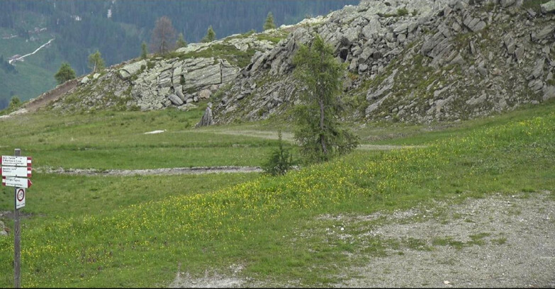 Webcam San Martino di Castrozza - Passo Rolle - Pista Tognola UNO
