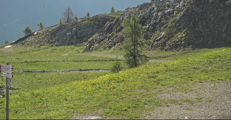 Webcam San Martino di Castrozza - Passo Rolle - Pista Tognola UNO