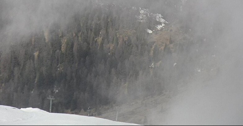 Webcam Сан-Мартино-ди-Кастроцца - Пассо-Ролле - Tognola - Piste Scandola