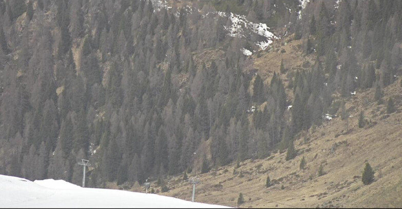 Webcam Сан-Мартино-ди-Кастроцца - Пассо-Ролле - Tognola - Piste Scandola