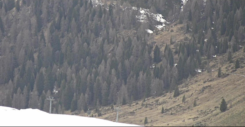 Webcam Сан-Мартино-ди-Кастроцца - Пассо-Ролле - Tognola - Piste Scandola