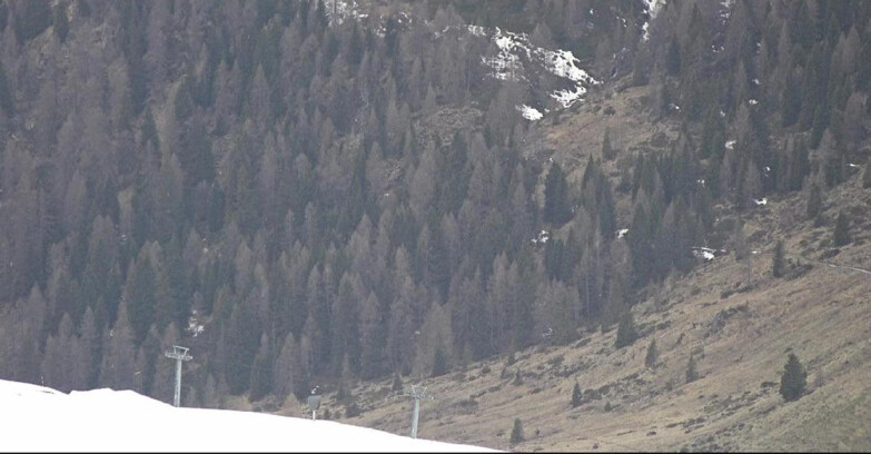 Webcam Сан-Мартино-ди-Кастроцца - Пассо-Ролле - Tognola - Piste Scandola