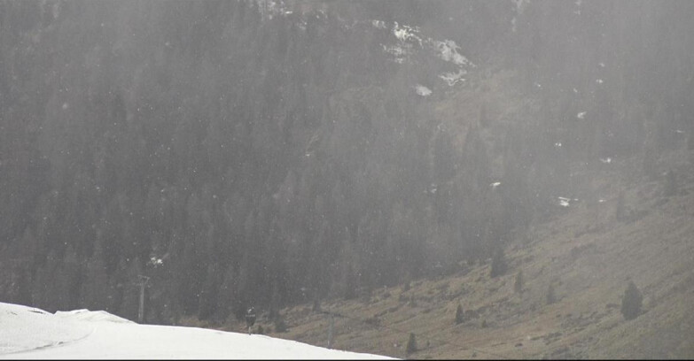 Webcam Сан-Мартино-ди-Кастроцца - Пассо-Ролле - Tognola - Piste Scandola