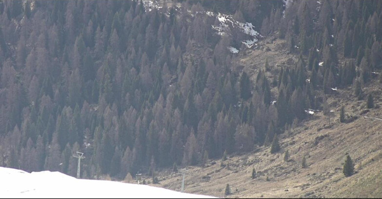 Webcam Сан-Мартино-ди-Кастроцца - Пассо-Ролле - Tognola - Piste Scandola