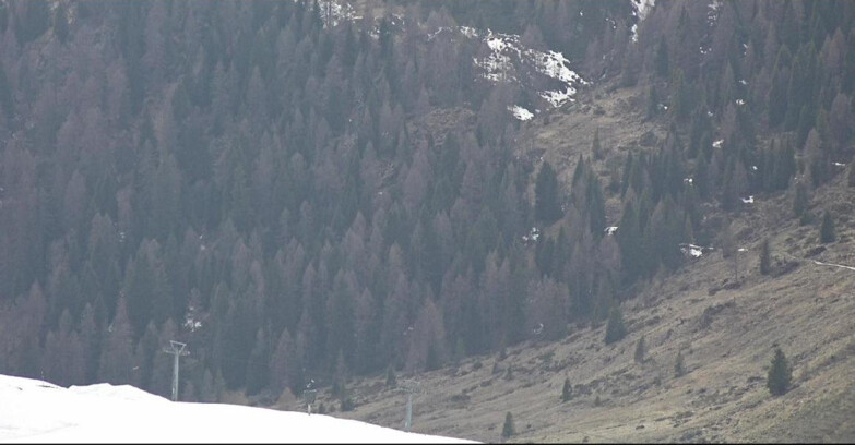 Webcam Сан-Мартино-ди-Кастроцца - Пассо-Ролле - Tognola - Piste Scandola