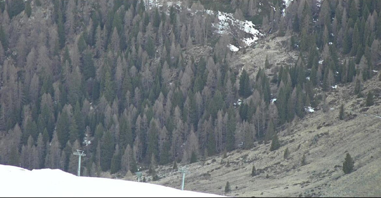 Webcam Сан-Мартино-ди-Кастроцца - Пассо-Ролле - Tognola - Piste Scandola