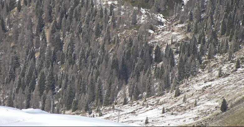 Webcam San Martino di Castrozza - Passo Rolle - Tognola - Piste Scandola