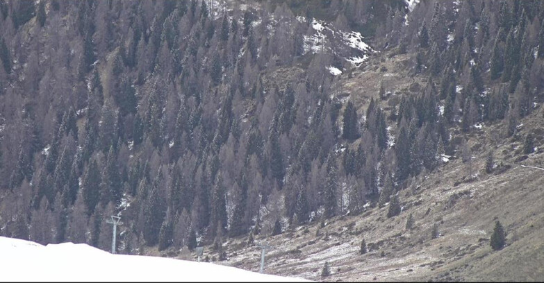 Webcam San Martino di Castrozza - Passo Rolle - Tognola - Piste Scandola