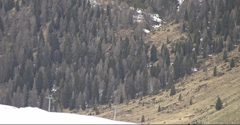 Webcam San Martino di Castrozza - Passo Rolle - Tognola - Piste Scandola