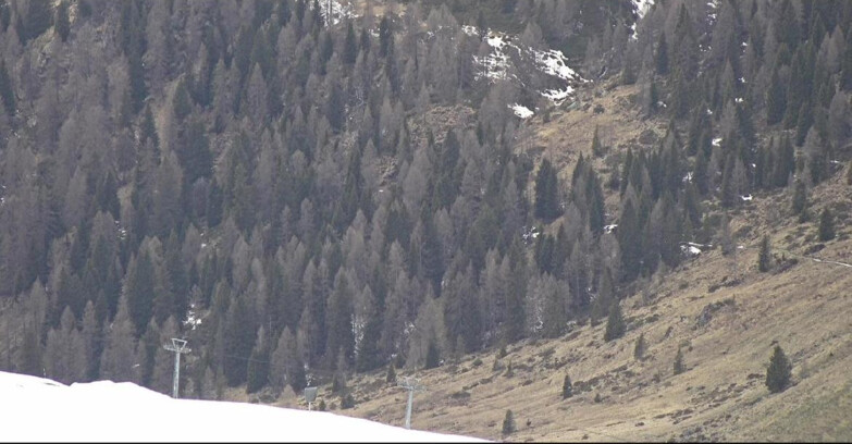 Webcam San Martino di Castrozza - Passo Rolle - Tognola - Piste Scandola