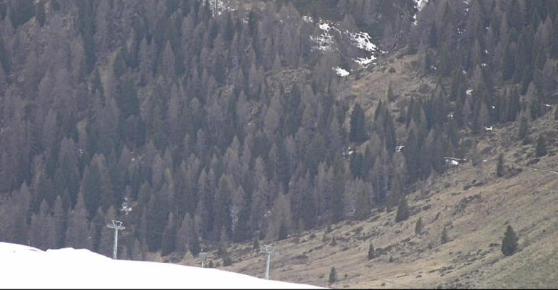 Webcam San Martino di Castrozza - Passo Rolle - Tognola - Piste Scandola