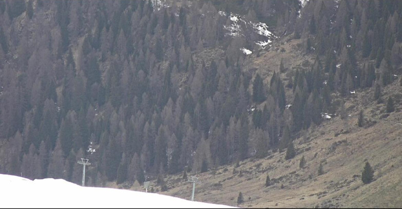 Webcam San Martino di Castrozza - Passo Rolle - Tognola - Piste Scandola