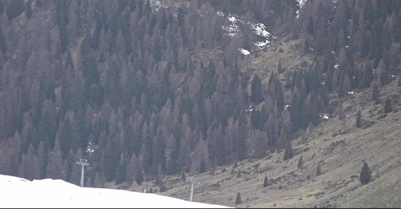 Webcam San Martino di Castrozza - Passo Rolle - Tognola - Piste Scandola