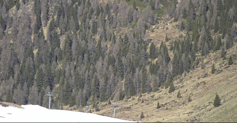 Webcam San Martino di Castrozza - Passo Rolle  - Tognola - Piste Scandola