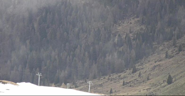 Webcam San Martino di Castrozza - Passo Rolle  - Tognola - Piste Scandola