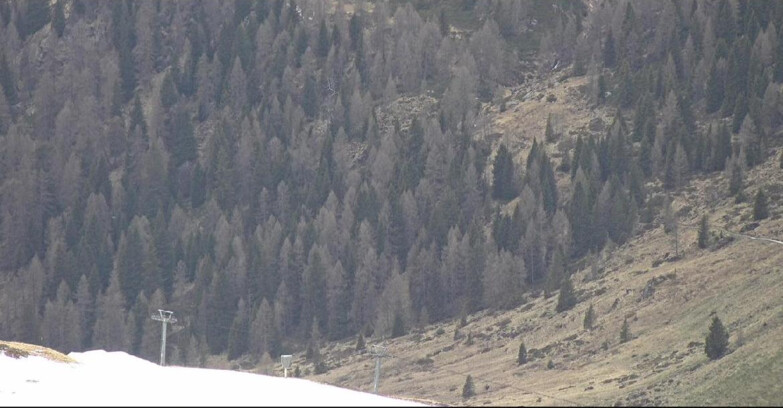 Webcam San Martino di Castrozza - Passo Rolle  - Tognola - Piste Scandola