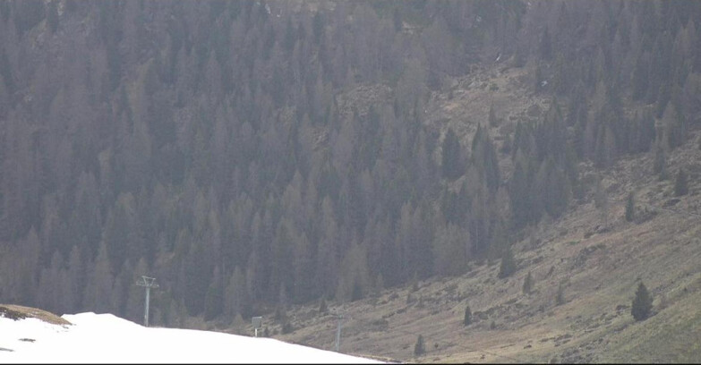 Webcam San Martino di Castrozza - Passo Rolle  - Tognola - Piste Scandola